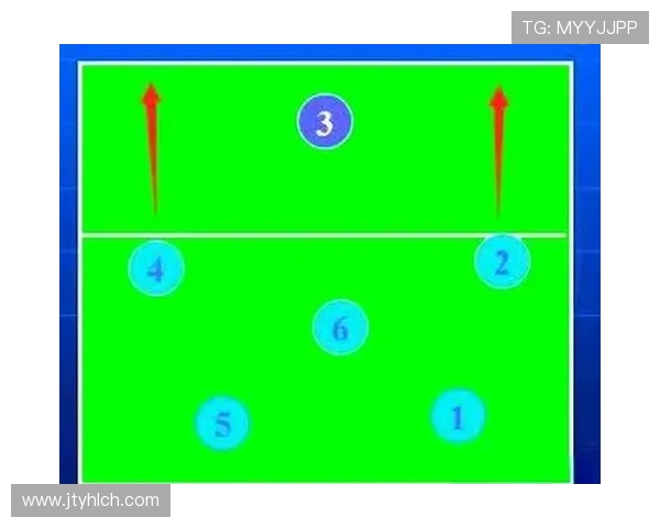 深入分析杭州排球队反击战术的独特魅力与实战应用